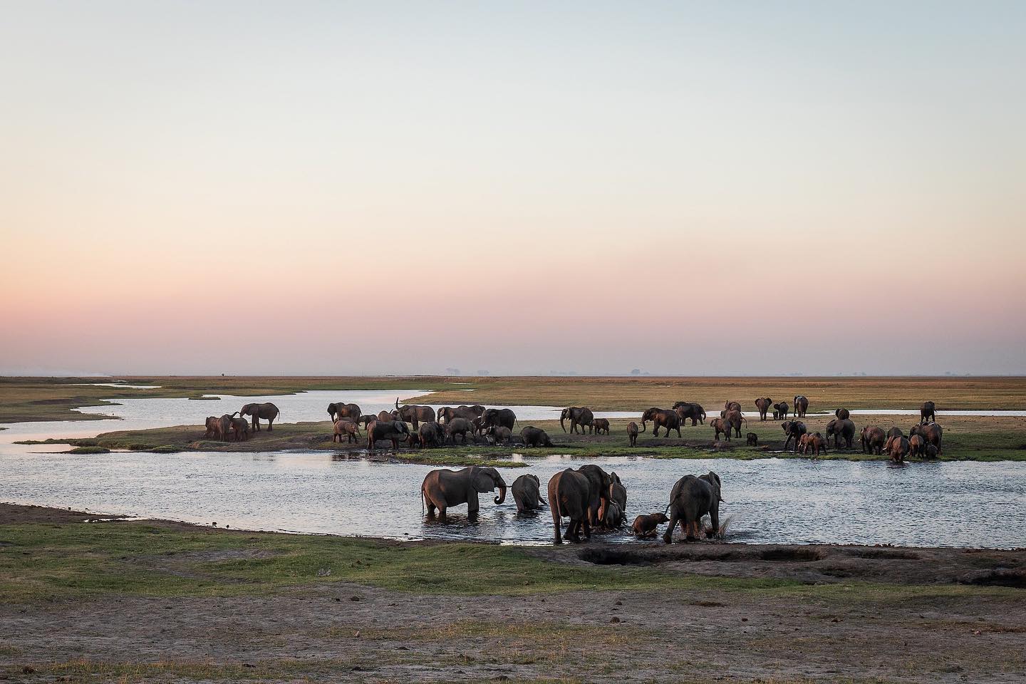 Discover the Top 7 Reasons to Choose a Tailored Safari in Zimbabwe