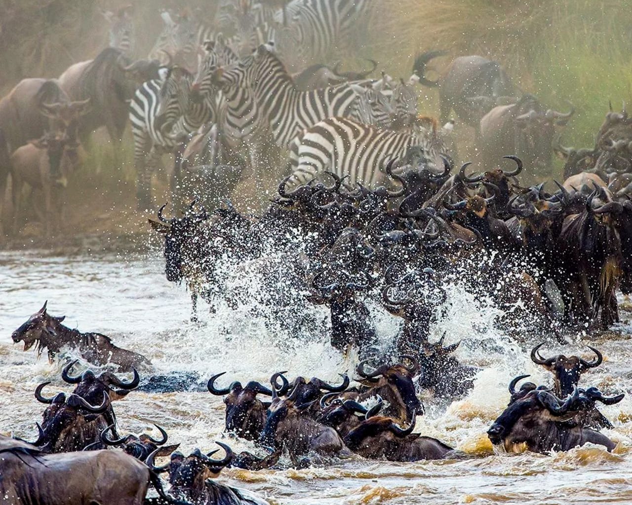 Embark on an Ethereal Safari: Tanzania Wildlife Adventure for the Soul Seekers